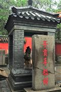 孔林